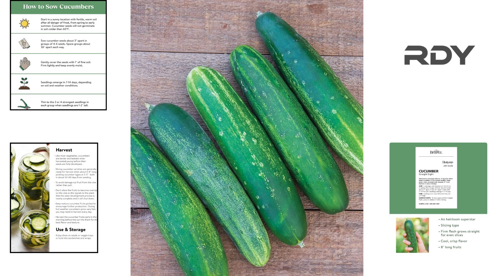 Easy Grow ‘Straight Eight’ Cucumber Seeds – 200 Organic Non-GMO Heirloom Seeds