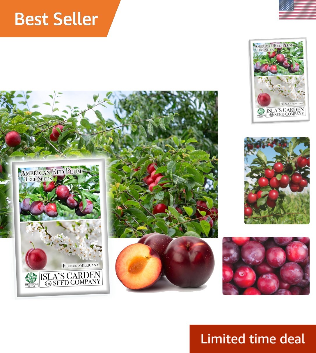 Prunus Americana Seeds – 5 Pack of Red Plum Tree Seeds for Heirloom Gardens