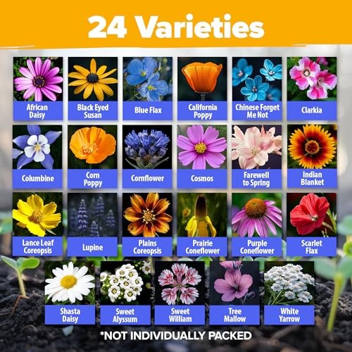 90,000+ Wildflower Seeds Mix 3oz 24 Varieties 1-Pack Wildflower Perennial XL