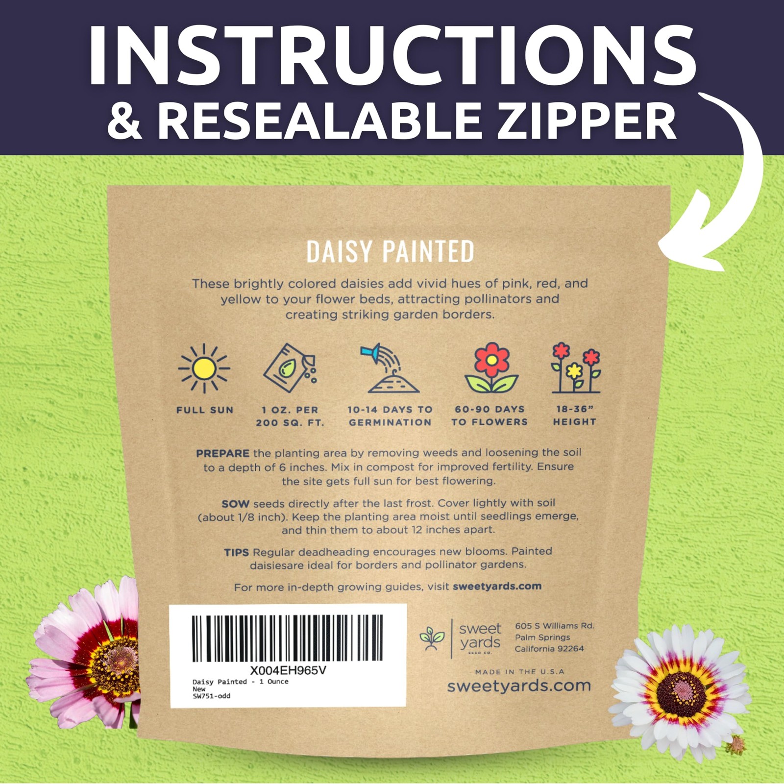 Painted Daisy – Large 1 Ounce Packet – 10,000 Flower Seeds for Planting – Chr…