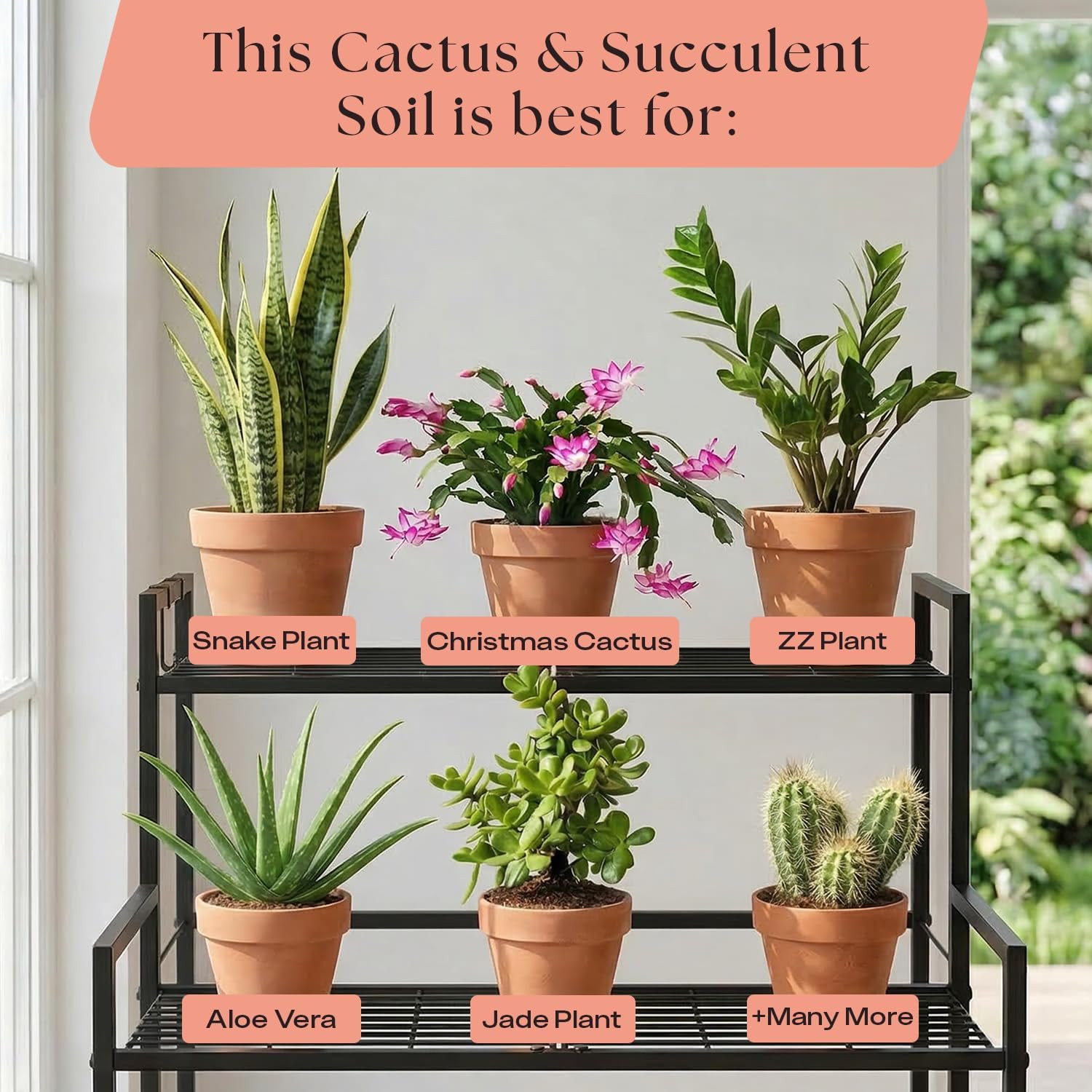 Cactus & Succulent Potting Mix, 4 Quarts | Organic Succulent Potting Soil, Chunk