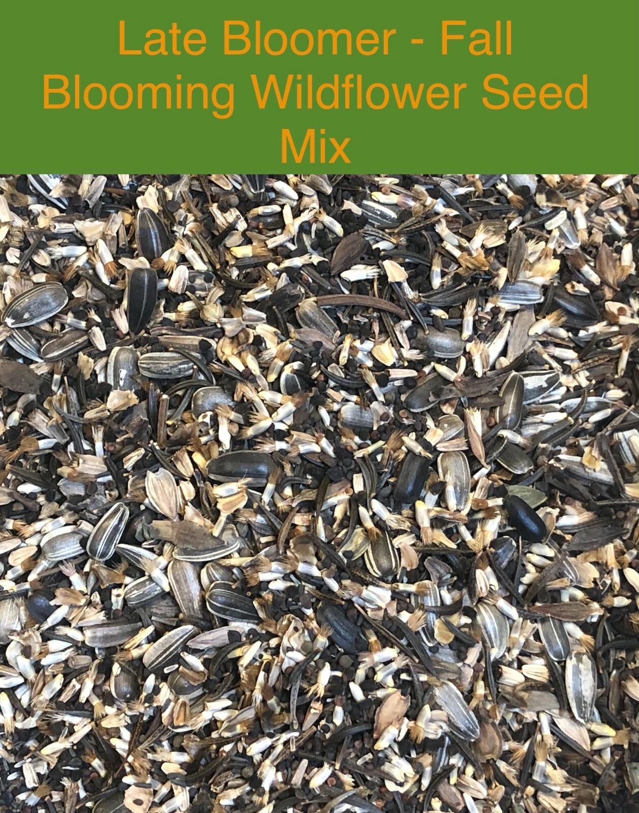 LATE BLOOMER Fall Bloom Wildflowers 19 Flower Species Heirloom Non-GMO 500 Seeds