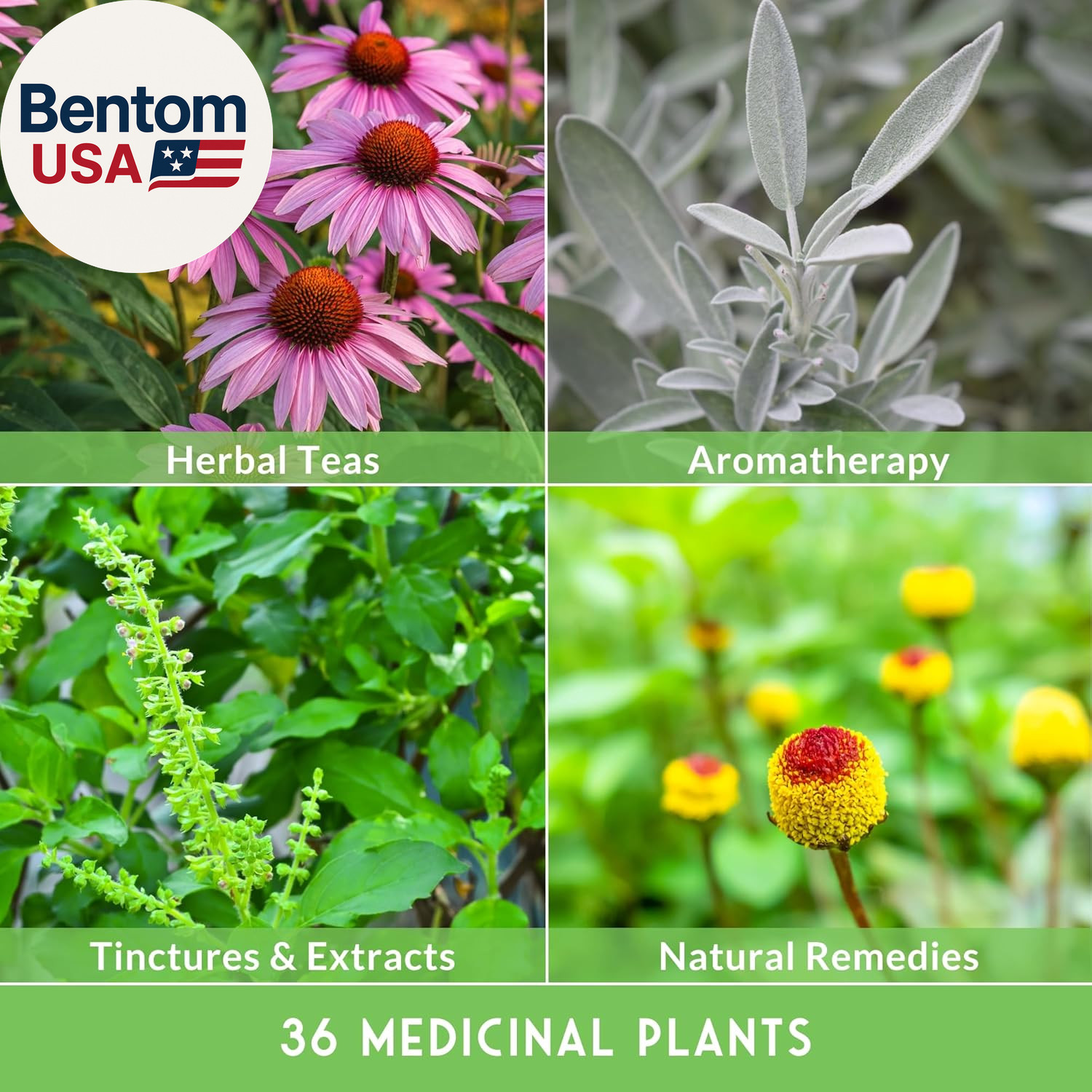 Ultimate Medicinal Herb Seeds Variety Pack – 36 Heirloom Non-Gmo Healing Herbs f