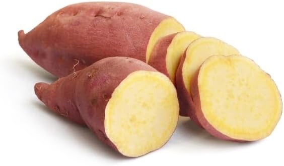 Yams Slips for Planting – Yellow Murasaki Sweet Potato Slips