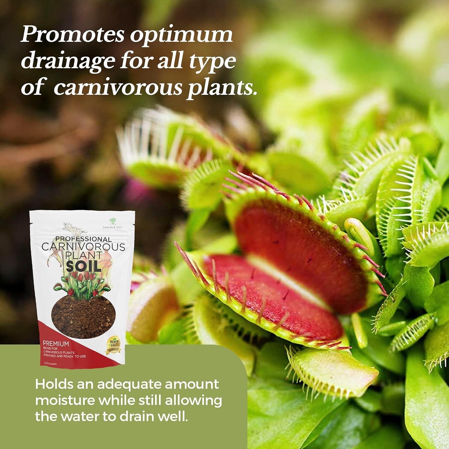 Ready-to-Use Carnivorous Plant Soil, 2.2 Quarts for Sundews and Pitcher Plants