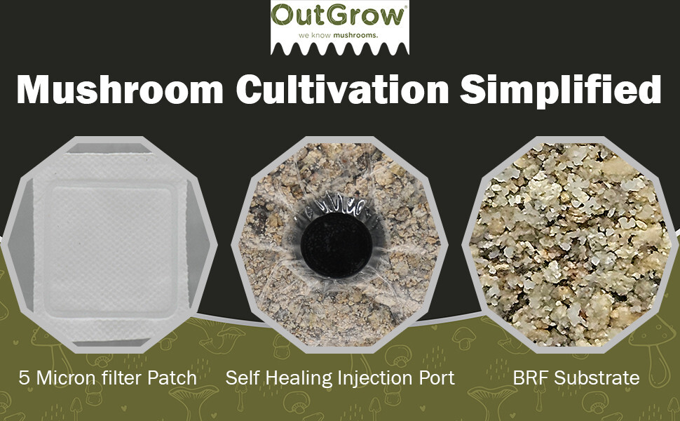 BRF BAGS Brown Rice Flour Mushroom Substrate Grow Bags / Sale is for 24 bags