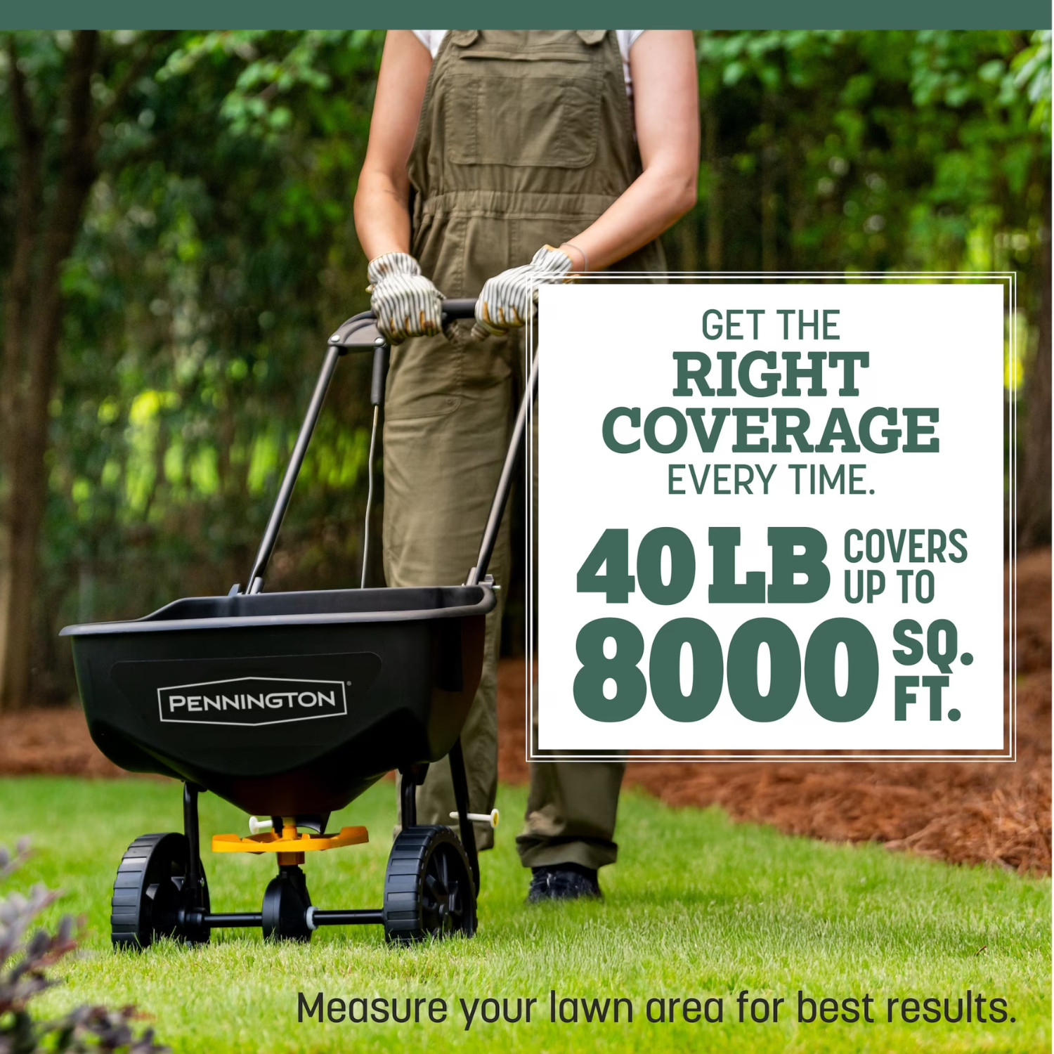 Pennington Kentucky 31 Tall Fescue Grass Seed 40 lb Bag Lawn Seed