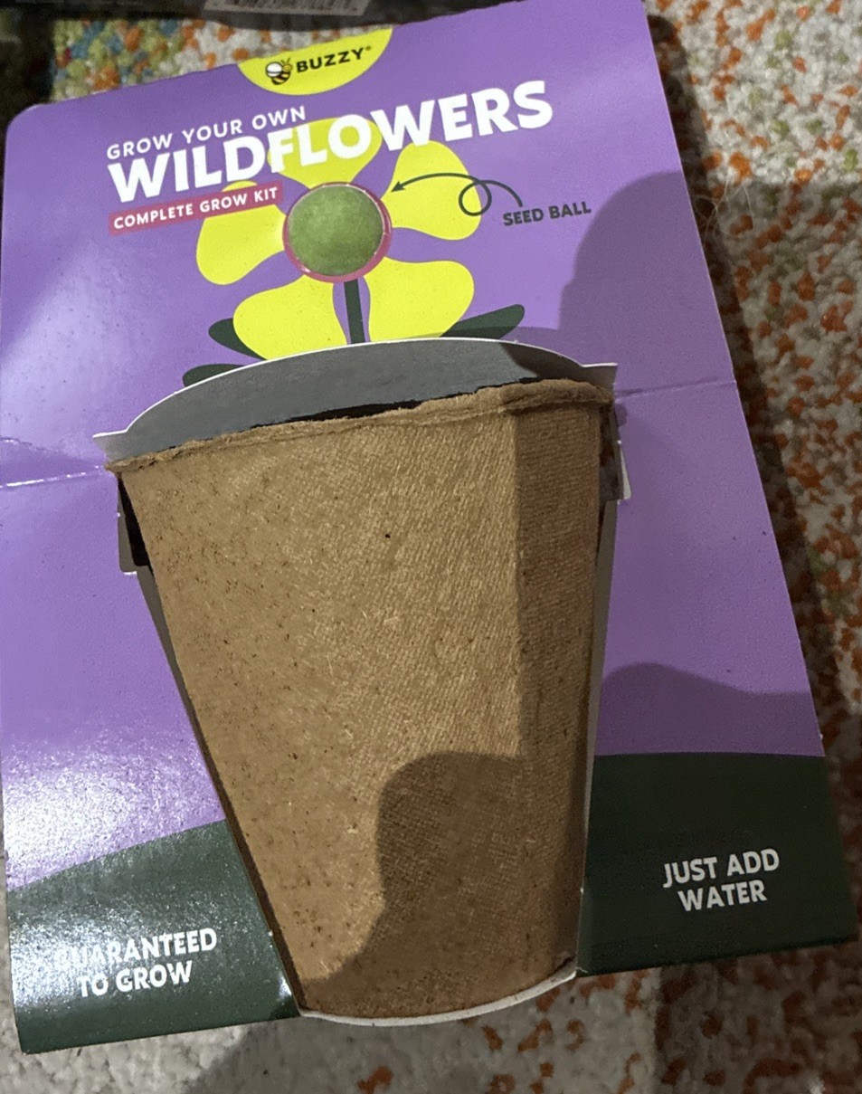 BUZZY Seeds Mini Pots 6 Pack with Plant Seeds For Wild Flowers!