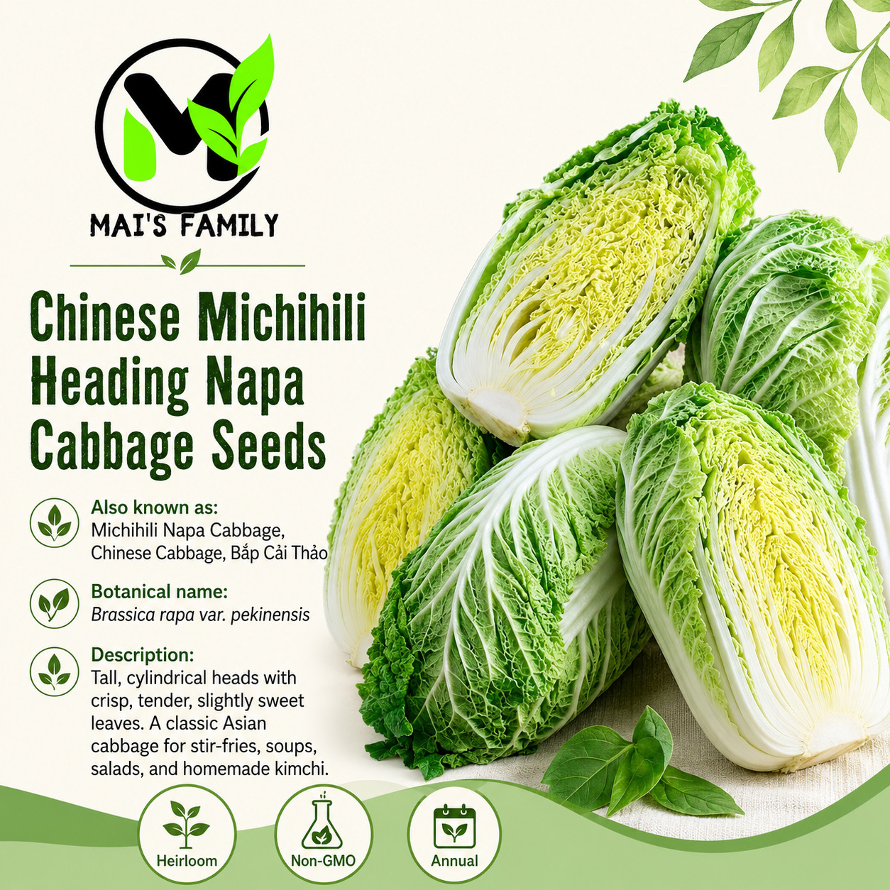 Chinese Michihili Napa Cabbage Seeds Heirloom Non-GMO Asian Vegetable