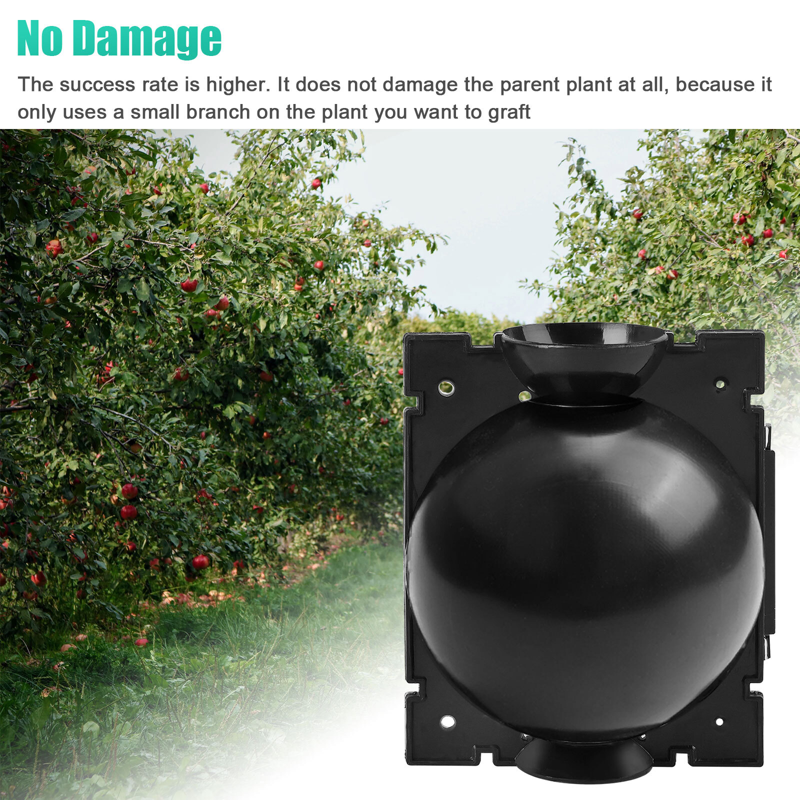 10X High Pressure Propagation Plant Rooting Device Ball Box Growing Graft Garden