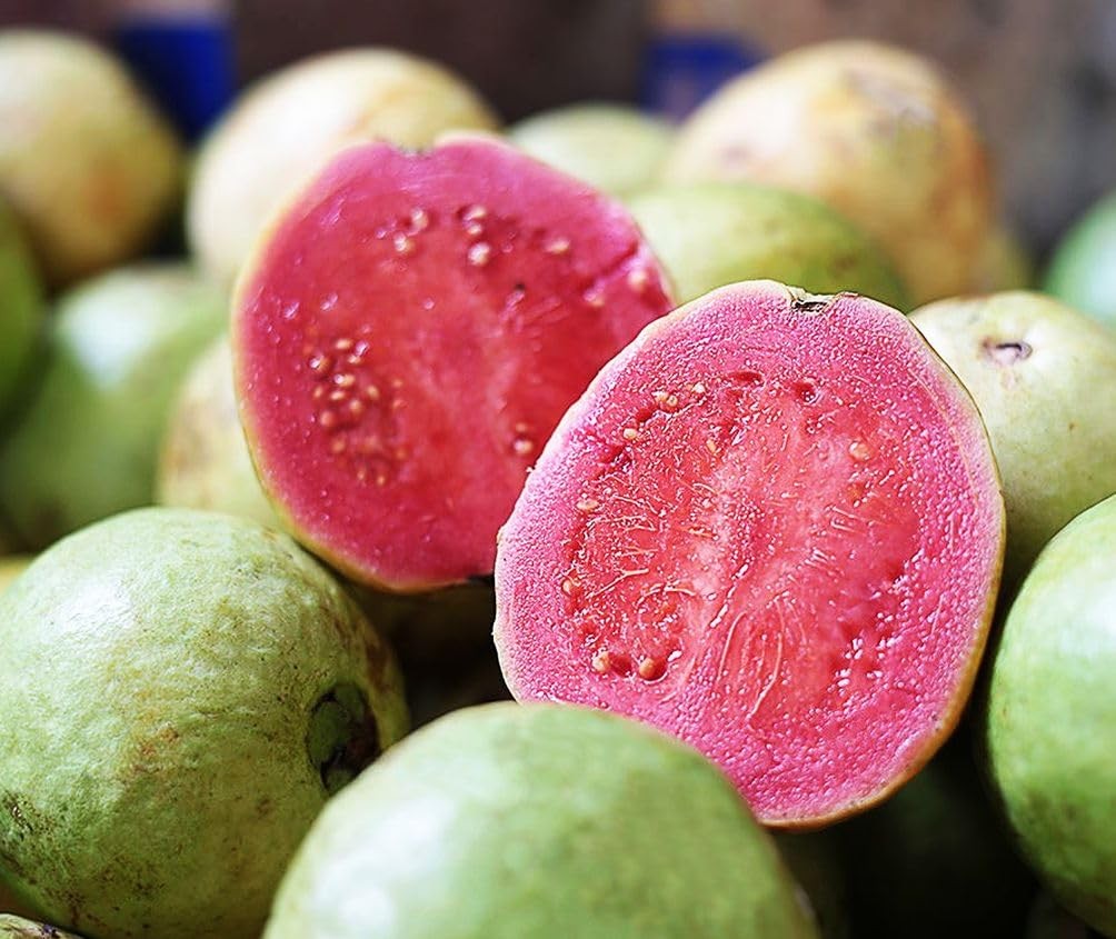 50pcs Tropical Strawberry Guava Pink Seeds – Exotic Flavor Medley green