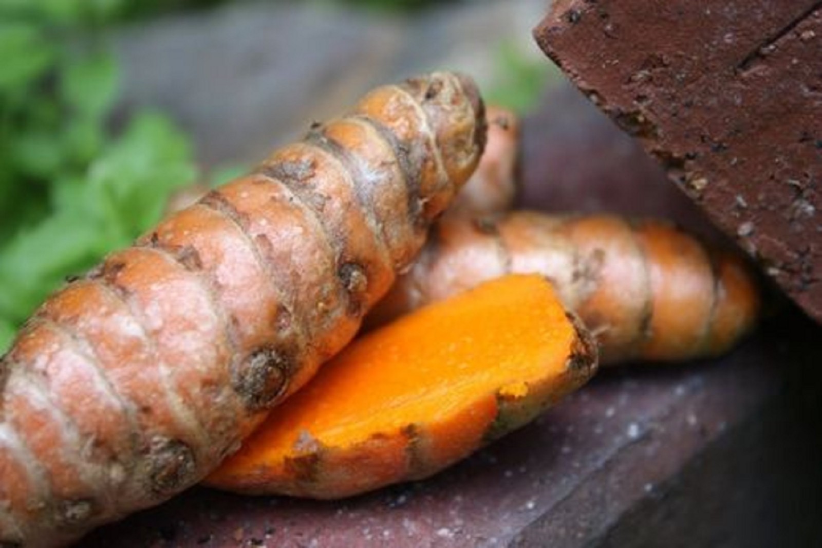 10PC SPICE TUMERIC ROOTS FOR PLANT CURCUMA LONGA ARTHRITIS PAIN MAKE TEA COOKING