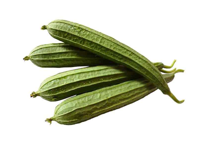 BONANZA ANGLED LUFFA GOURD SEEDS, HẠT MƯỚP KHÍA