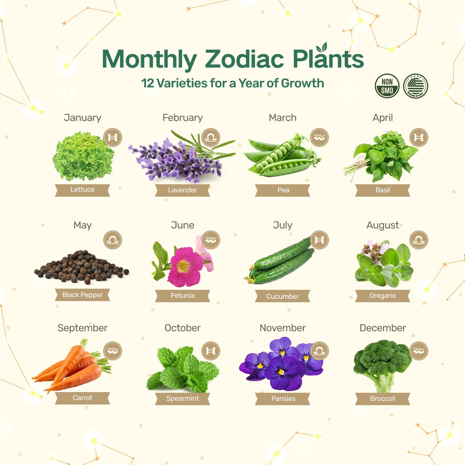 Lush&Dew Zodiac Garden Seed Bank, Gardening Gifts for Women Men, 12 Varieties