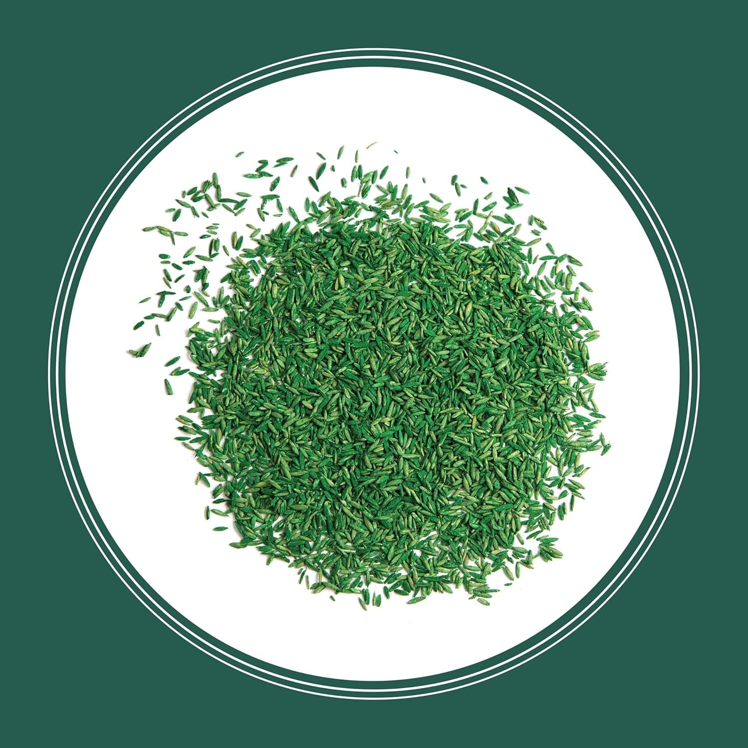 Drought-Tolerant Grass Seed Mix 7 lb