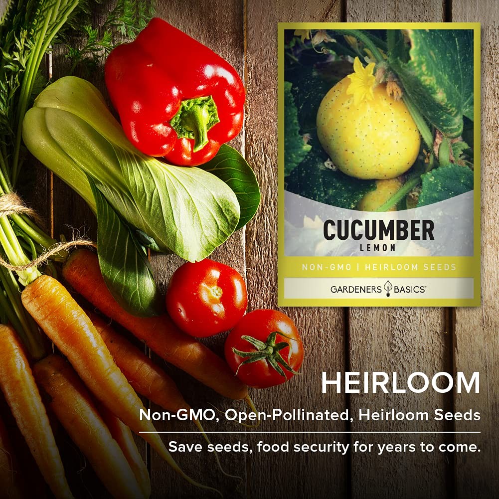 Lemon Cucumber Seeds for Planting (Cucumis sativus) Heirloom, Non-GMO Vegetab…