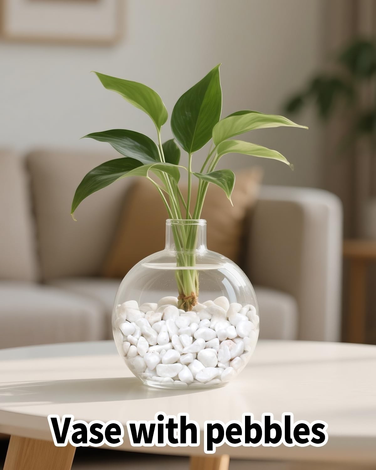 6LB Natural Polished Gravel Pebbles – 1/4-3/8 Inch Decorative Stones for Plants,