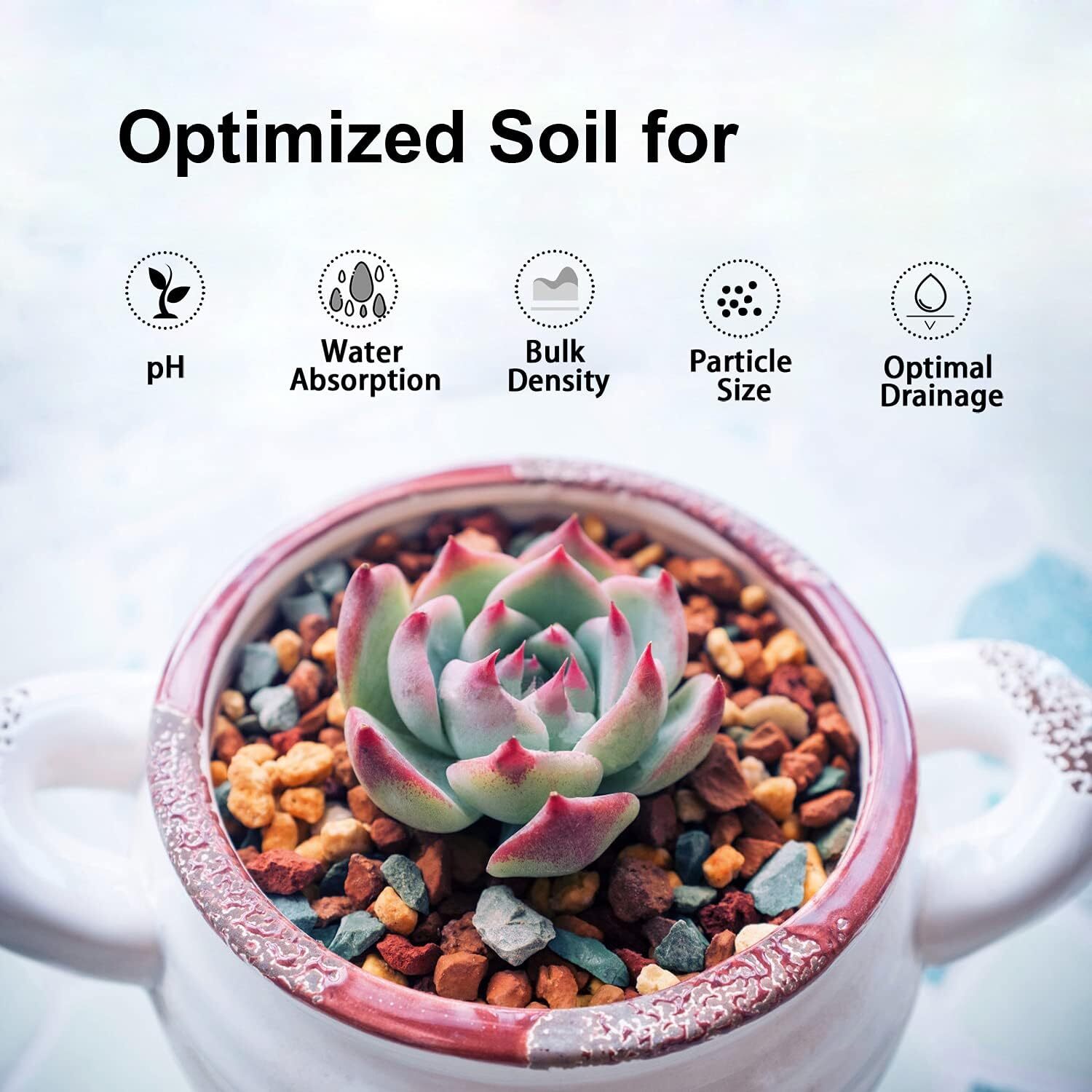 5Lb Succulent Soil Mix Gritty Blend For Cactus Drainage And Root Health
