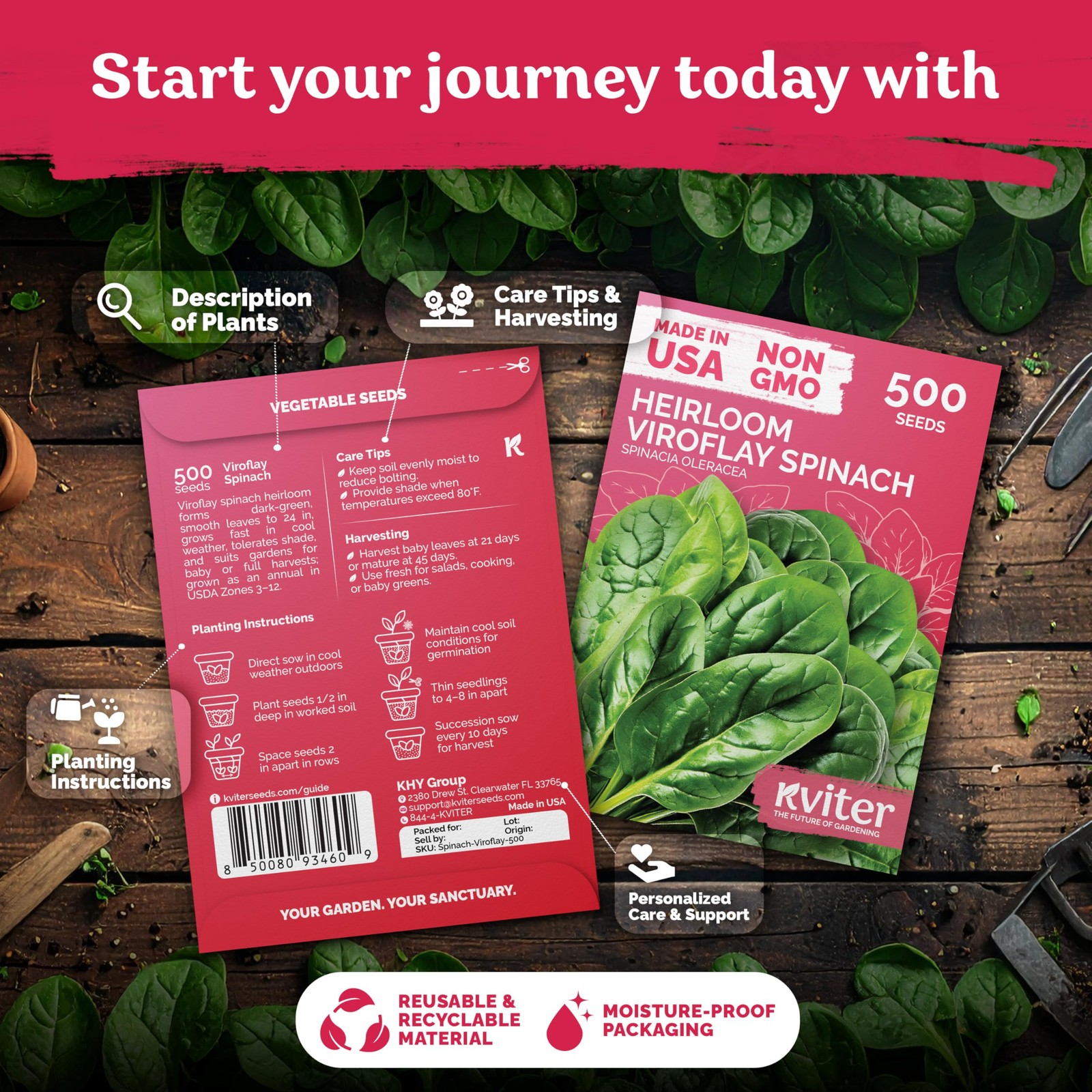 KVITER 500 Viroflay Spinach Seeds (Spinacia Oleracea)