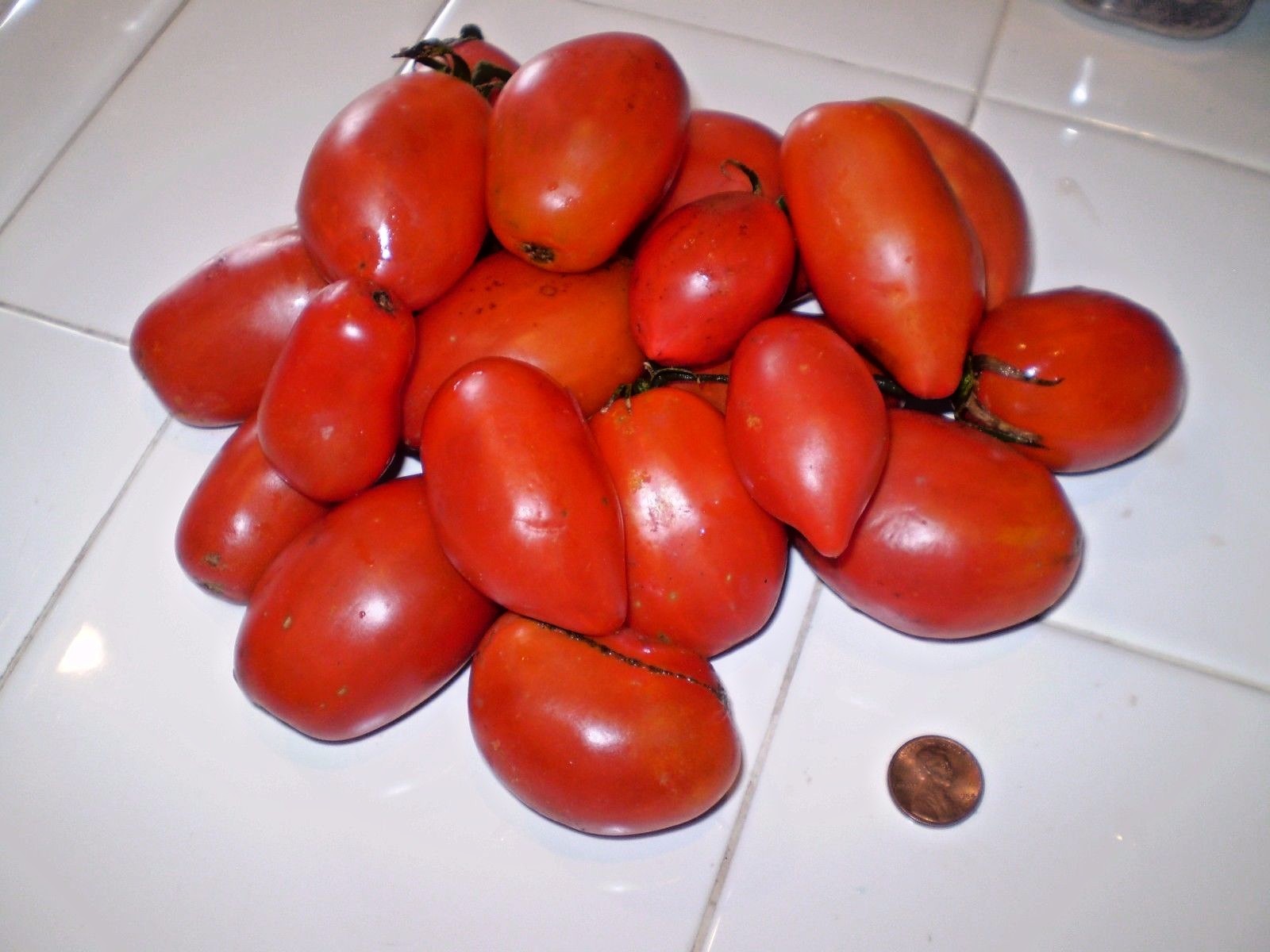 Schelske Family Heirloom RARE tomato seeds non-gmo heirloom open pollinated