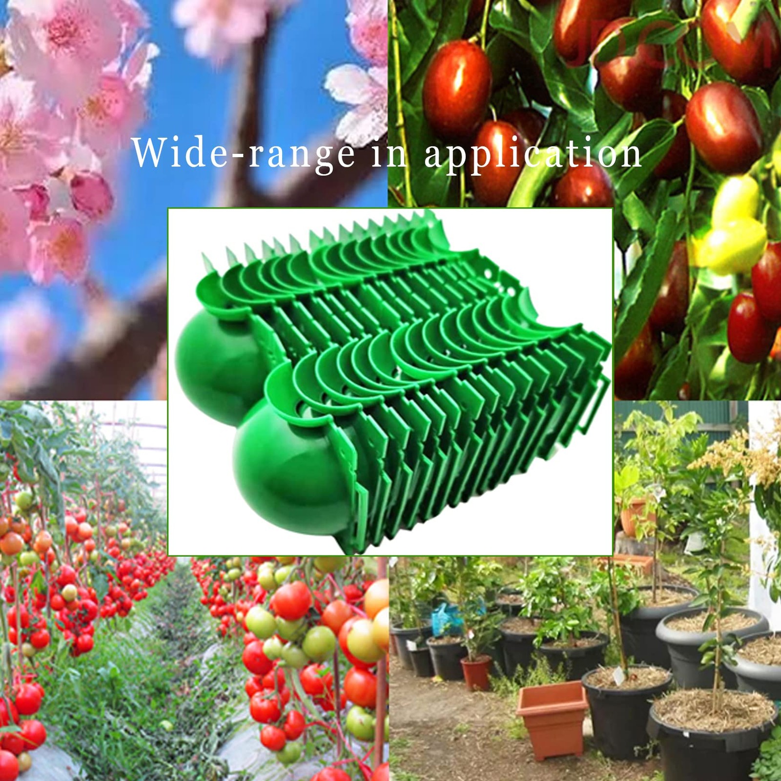 Reusable Plant Rooting Ball, Markeny Propagation Root 5 cm/ 2 inches