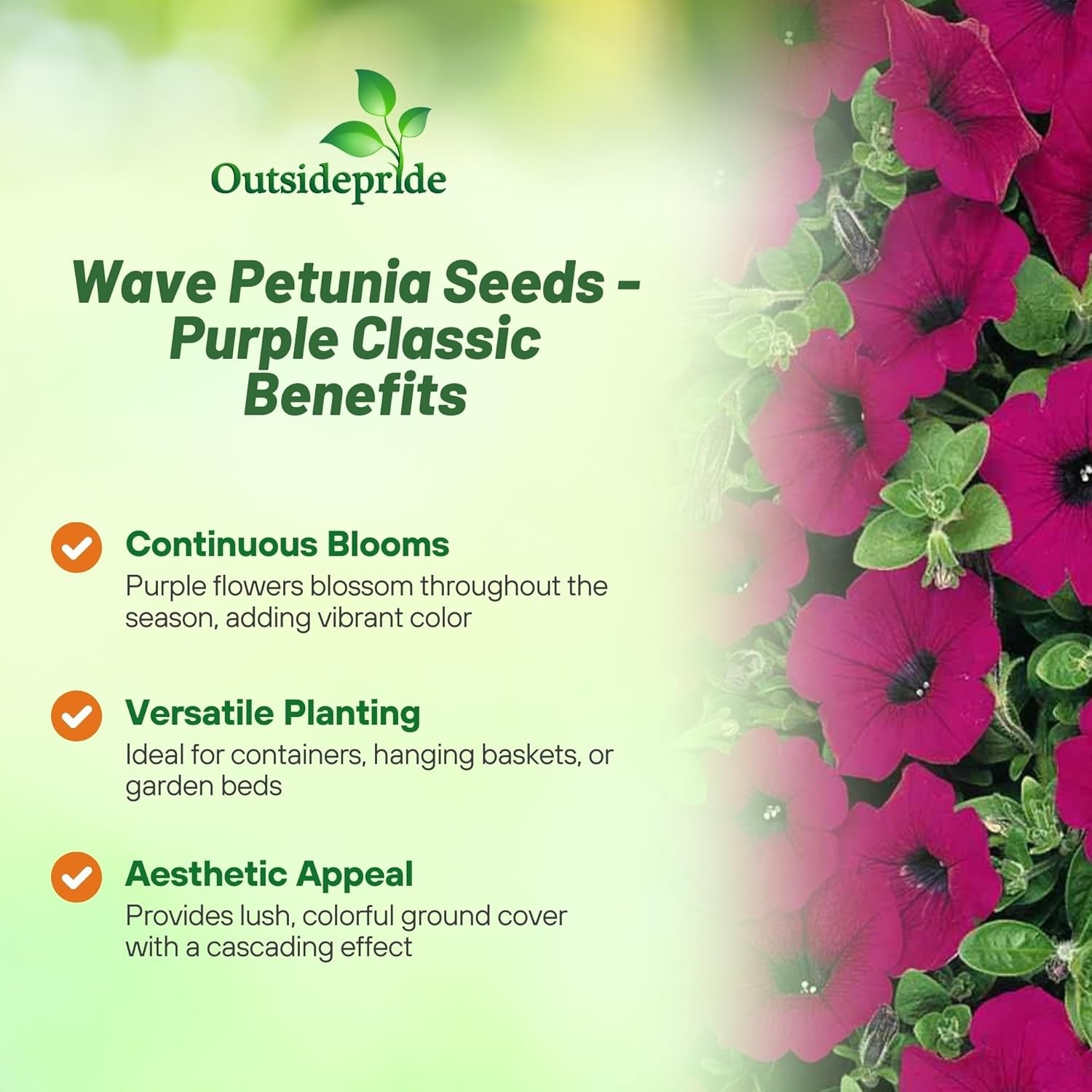 15 Seeds Purple Classic Wave Petunias Only Grow 4 – 6 Inches Tall – AAS Winner