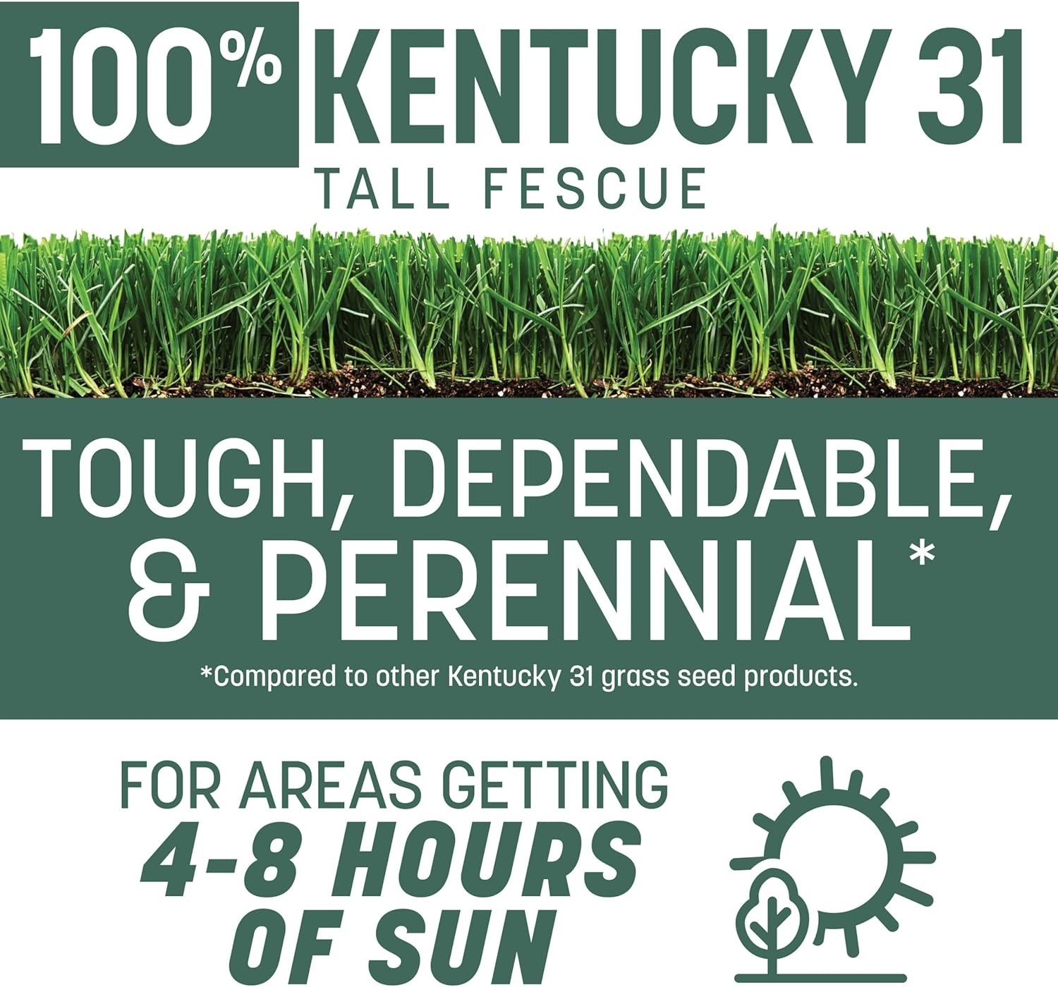 Penkoted Kentucky 31 Tall Fescue Grass Seed, 40 LB – Perfect for Your Lawn