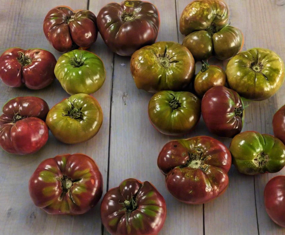 Cherokee Purple Tomato Seeds – For 2025 Planting Heirloom Beefsteak Native Large