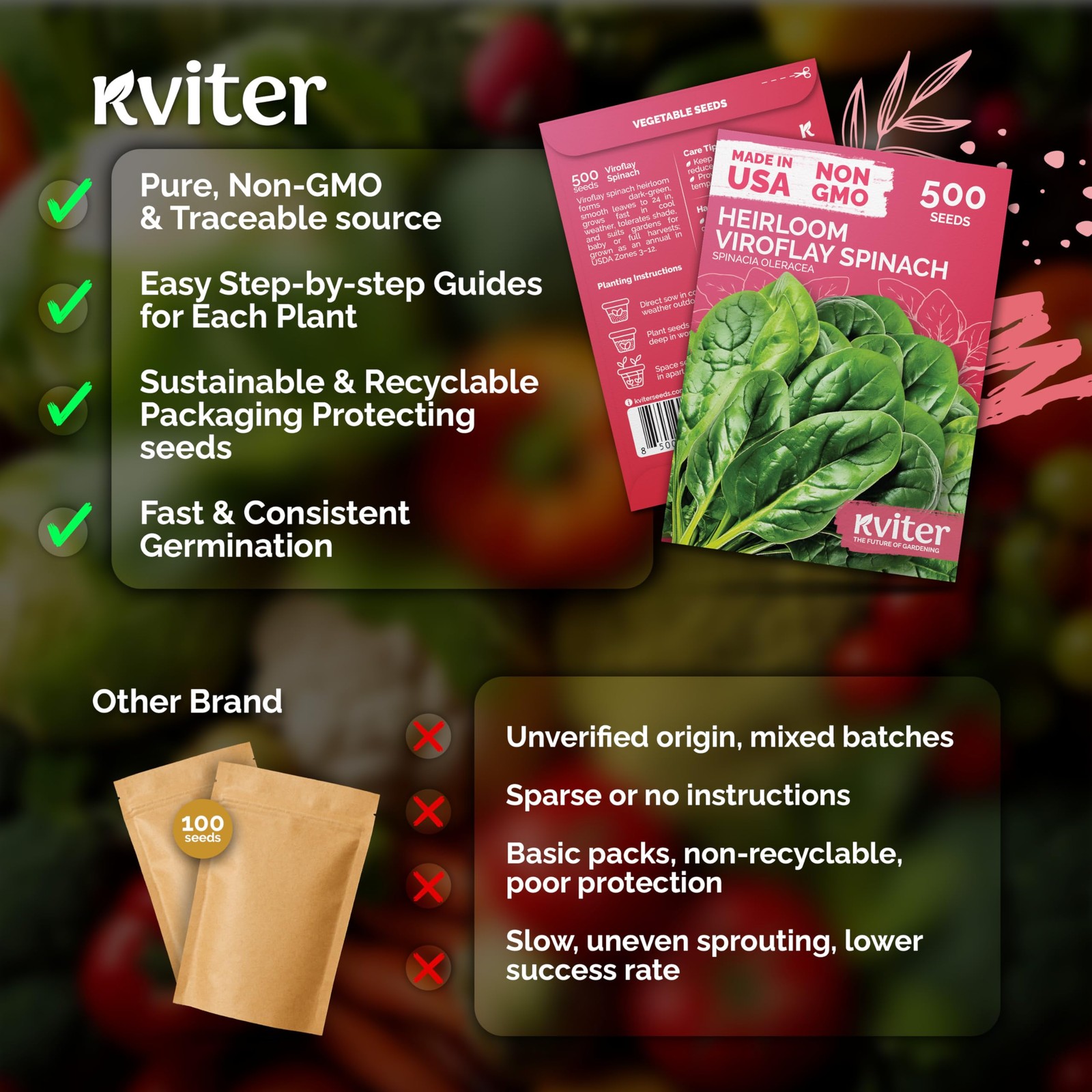 KVITER 500 Viroflay Spinach Seeds (Spinacia Oleracea)