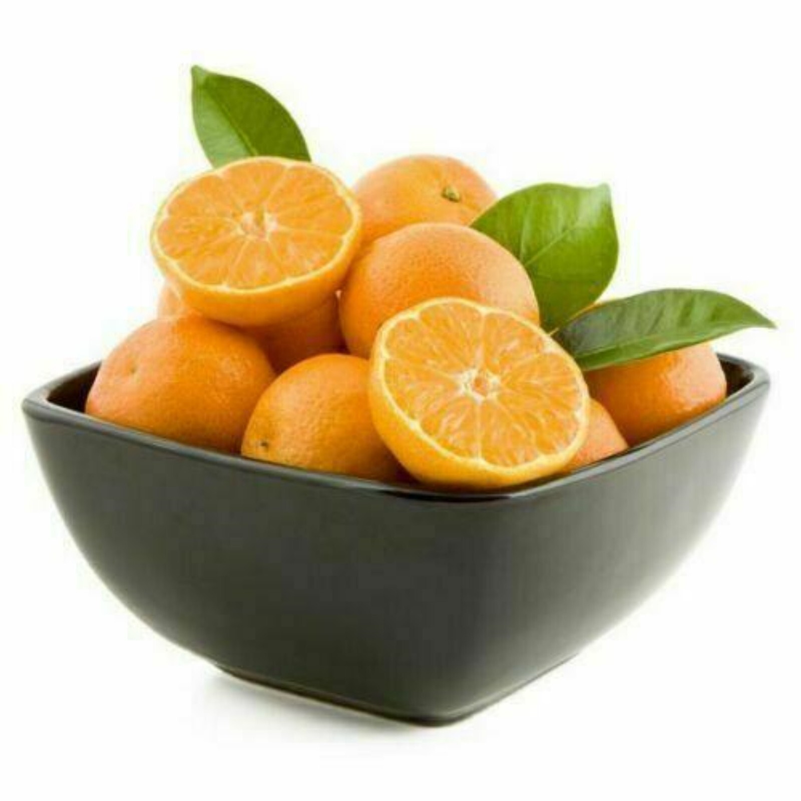 Florida only! Ponkan Mandarin, DWARF 26-30″ tall Chinese Honey Orange grafted