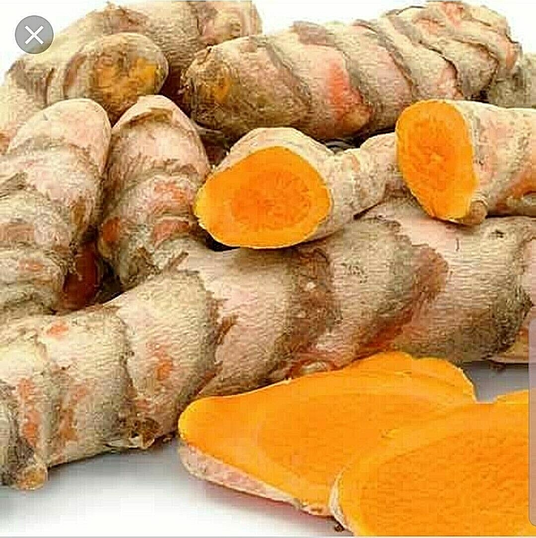 Organic Turmeric Roots Curcuma Longa for Tea, Spices, Seasoning, Healthy
