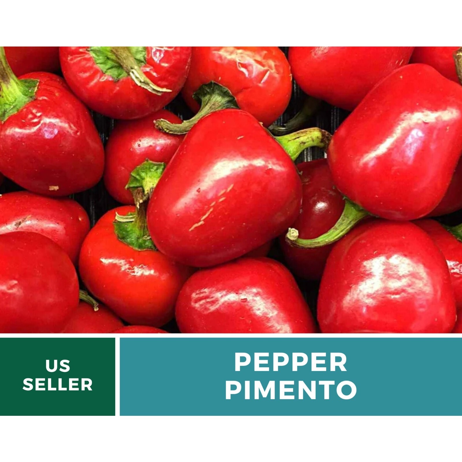 Pepper, Pimento Sweet seeds – Heirloom Vegetable (Capsicum annuum) – Vibrant and