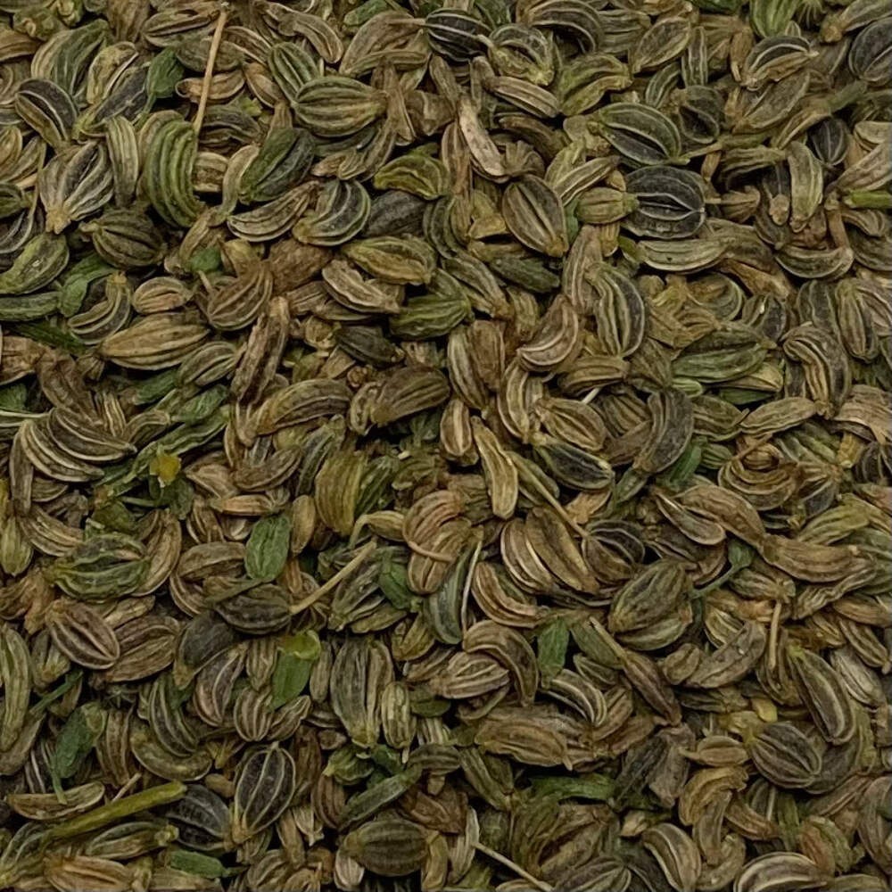 Parsley, Giant of Italy (Petroselinum crispum var. latifolium)