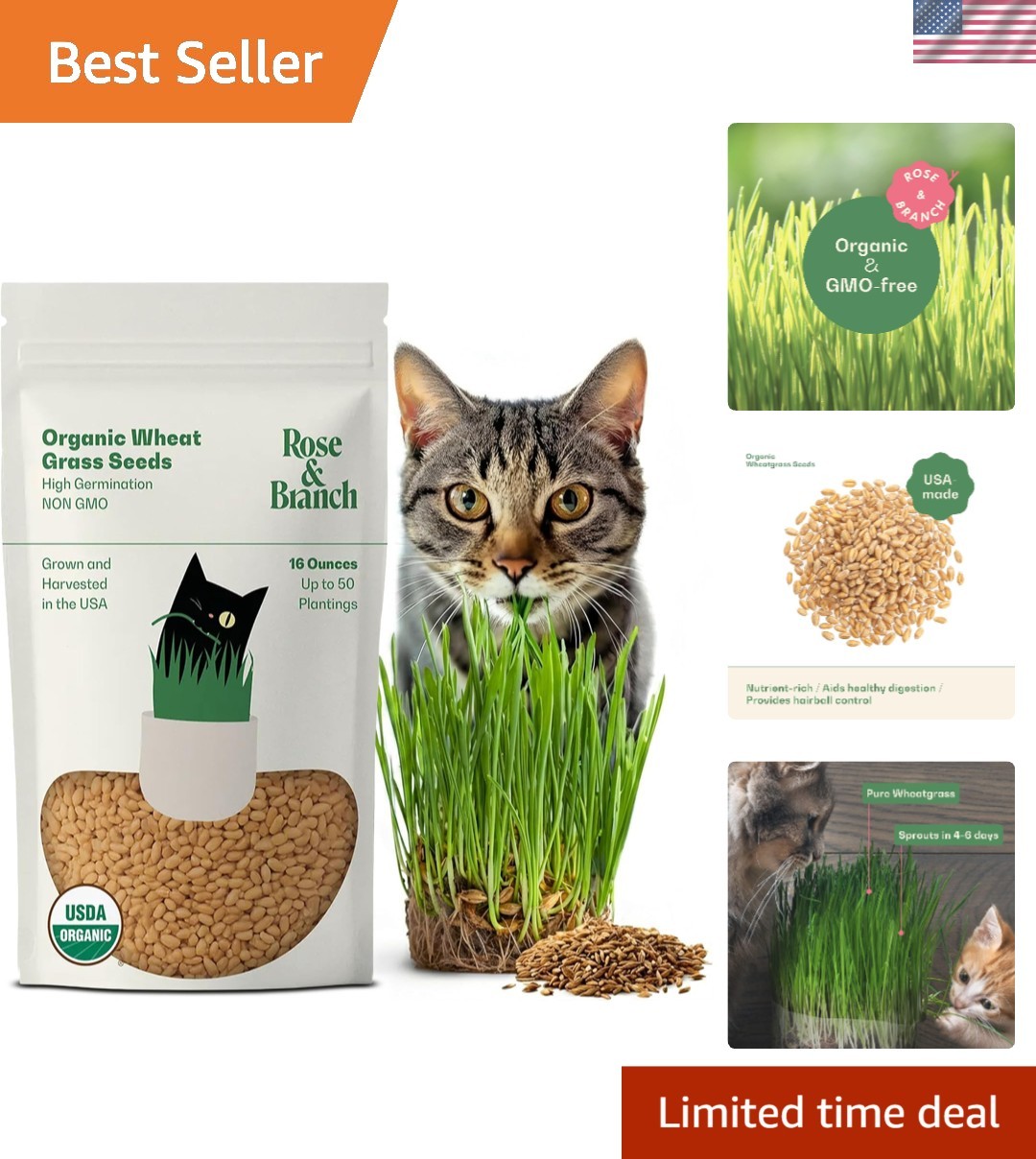 Rose & Branch Organic Wheat Grass Seeds for Indoor Cats – Cat Grass Seeds – 1…