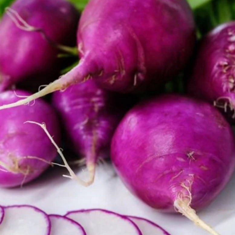 Mixed Radish Seeds, 200+ Seeds. Womack Farm gourmet radish blend. Free Shipping.