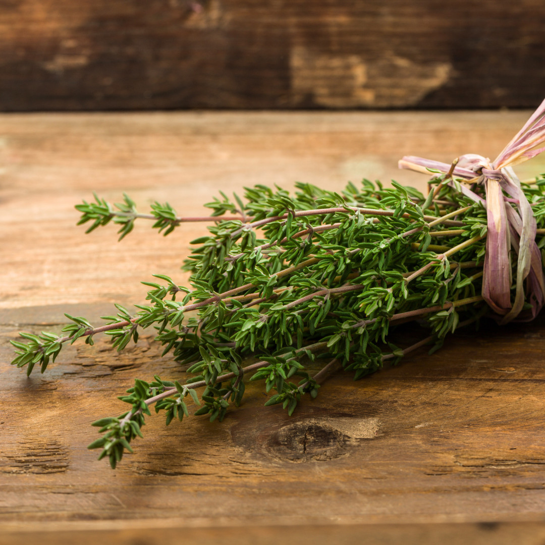 Fresh Premium Thyme Seeds | Herb | Culinary | Heirloom Non-GMO | Herb Seeds