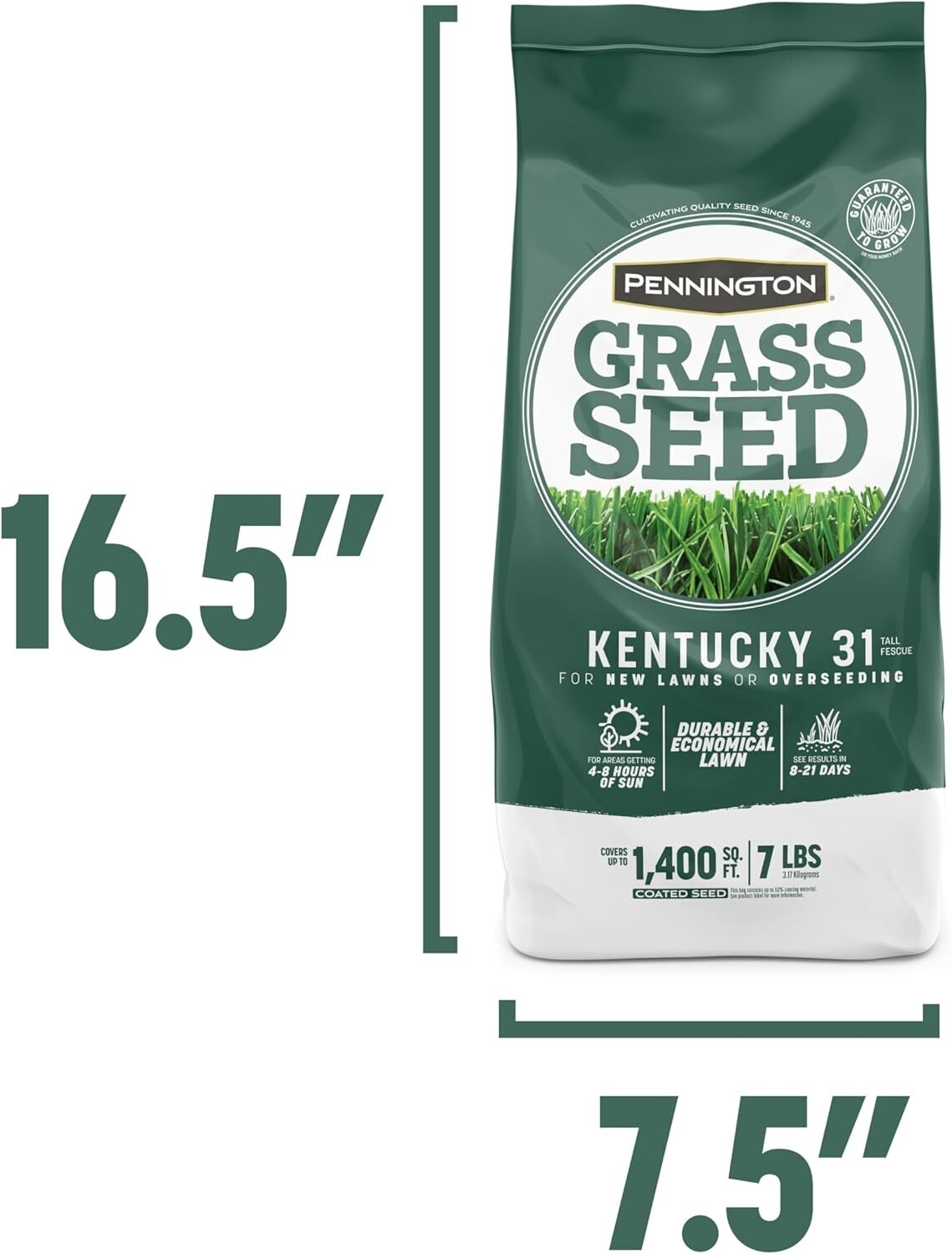 Semilla De Pasto De Crecimiento Rapido – Semilla De Cesped De Estacion 7 lb