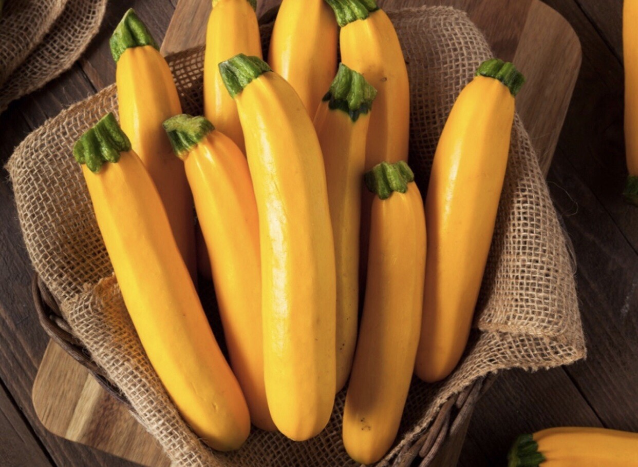 30 Plus Golden Zucchini Summer Squash Seeds-NON GMO- Open Pollinated