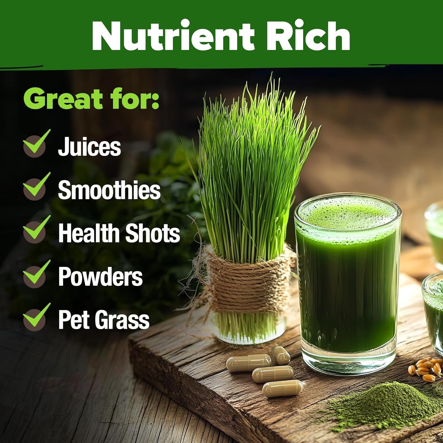 Wheatgrass Seeds Bulk 1.5 lb 12000+ Hard Red Sprouting seed kit