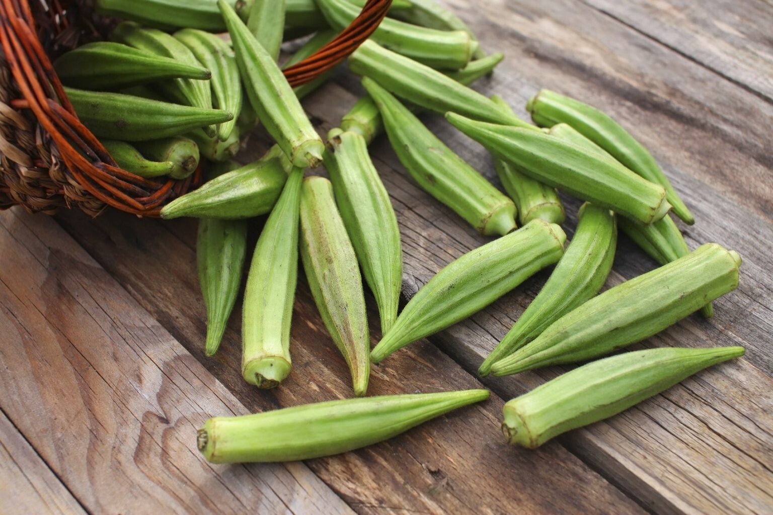 100+ Emerald Okra Seeds ——– HEIRLOOM – NON GMO