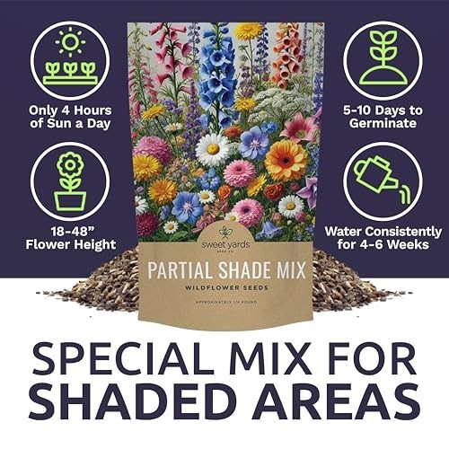 Bulk Wildflower Seeds Mix for Partial Shade – 1/4 lb, 30,000+ Open Pollinated