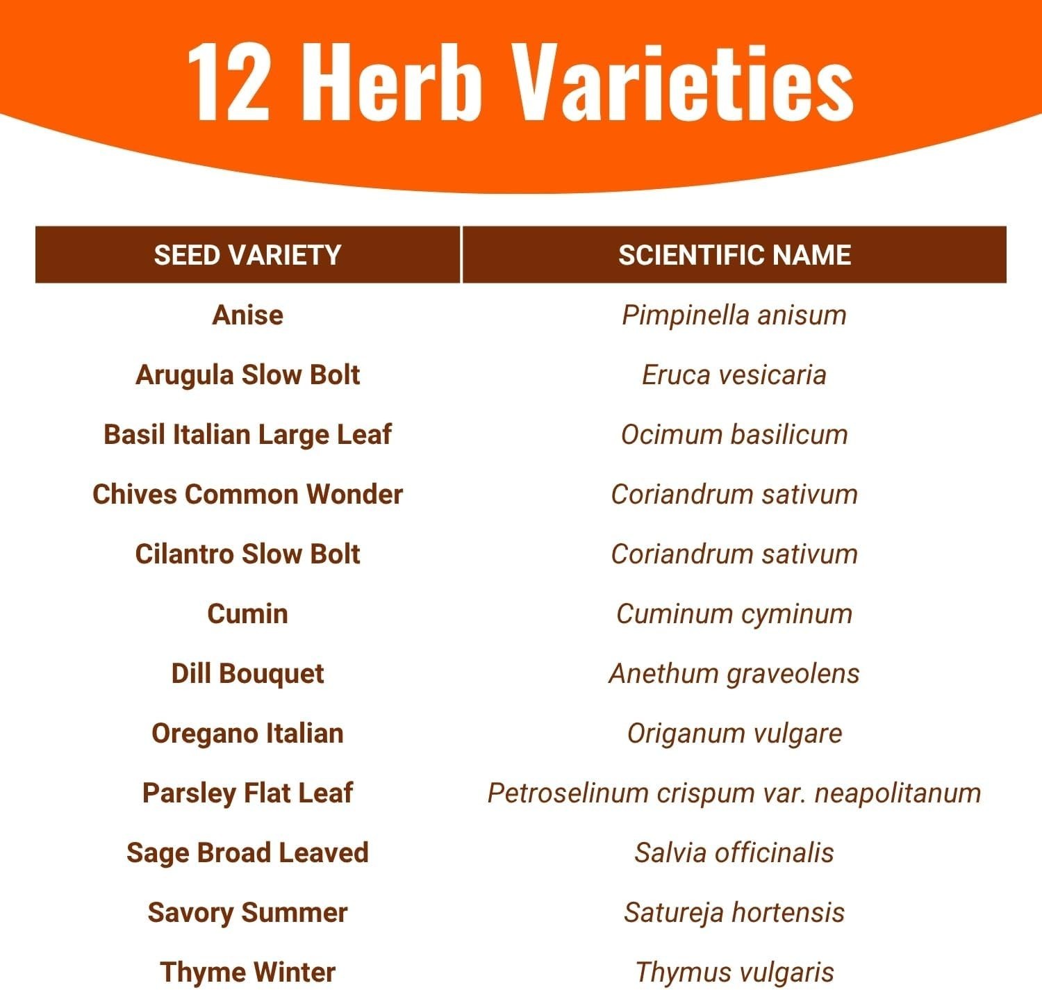 Pet Friendly Herb Seeds Variety Pack | 12 Heirloom Non-GMO Options for Planting