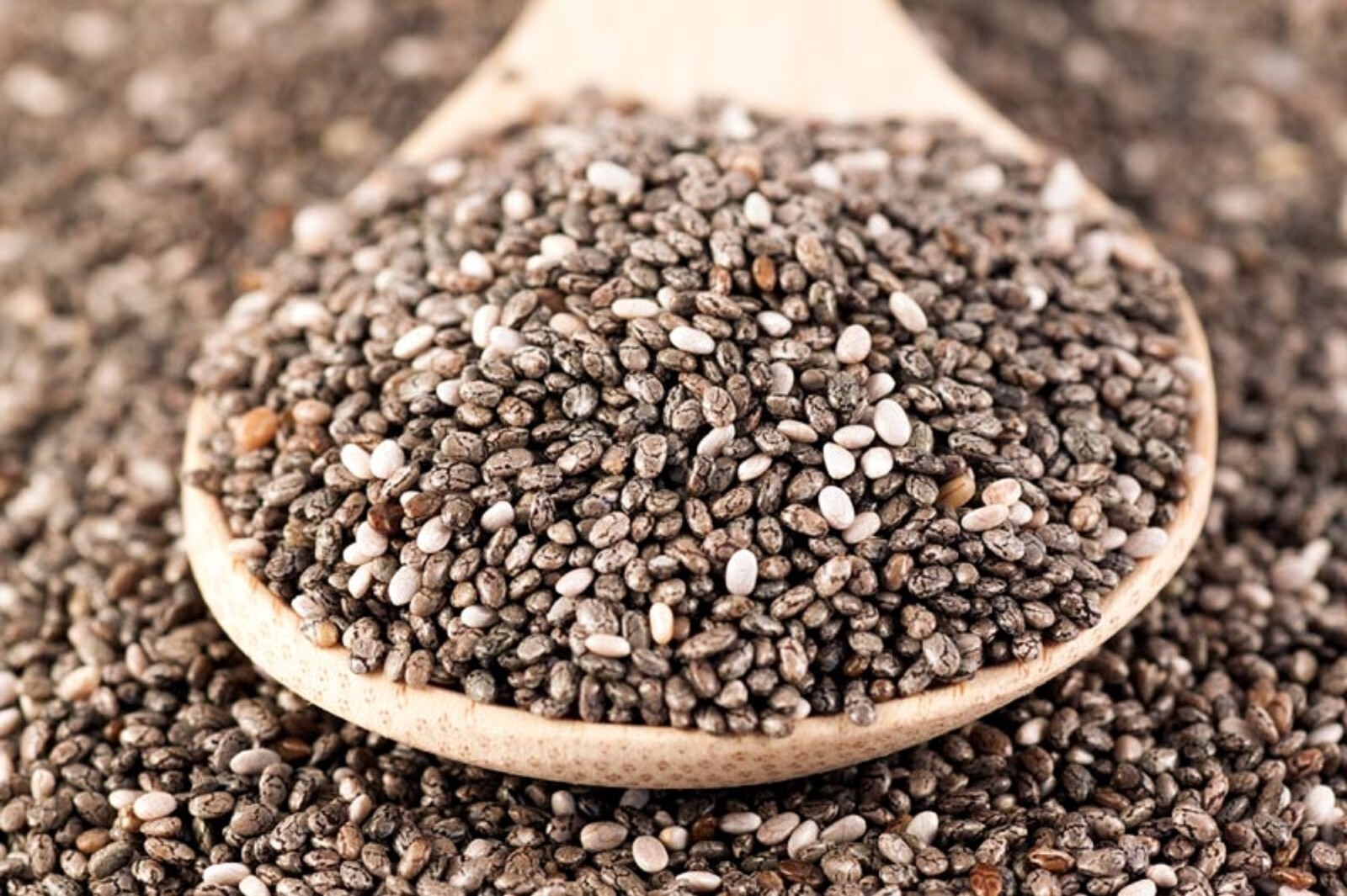 Chia Microgreen Seed 4 Ounce Package