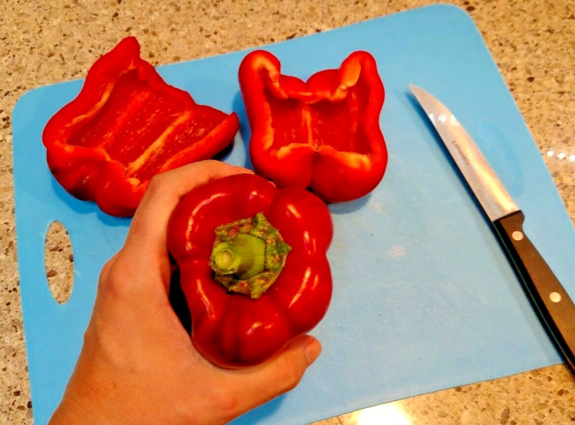 Keystone Giant Bell Pepper Seeds 20+ Sweet Pepper Vegetable **Free Ship**