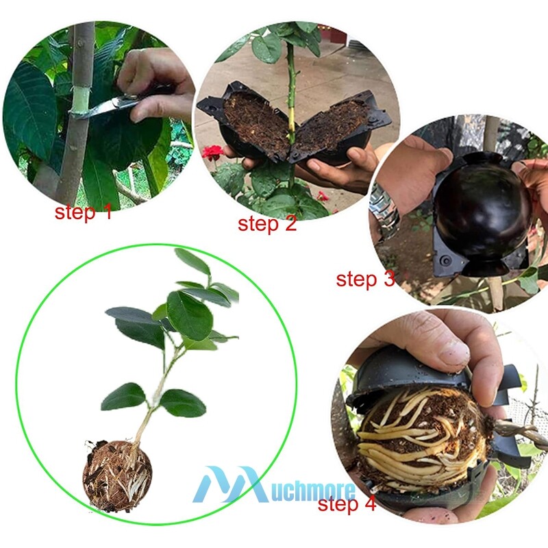 10x Black Propagation Tree Plant Rooting Ball Branch Root Grow Box Nursery Pot
