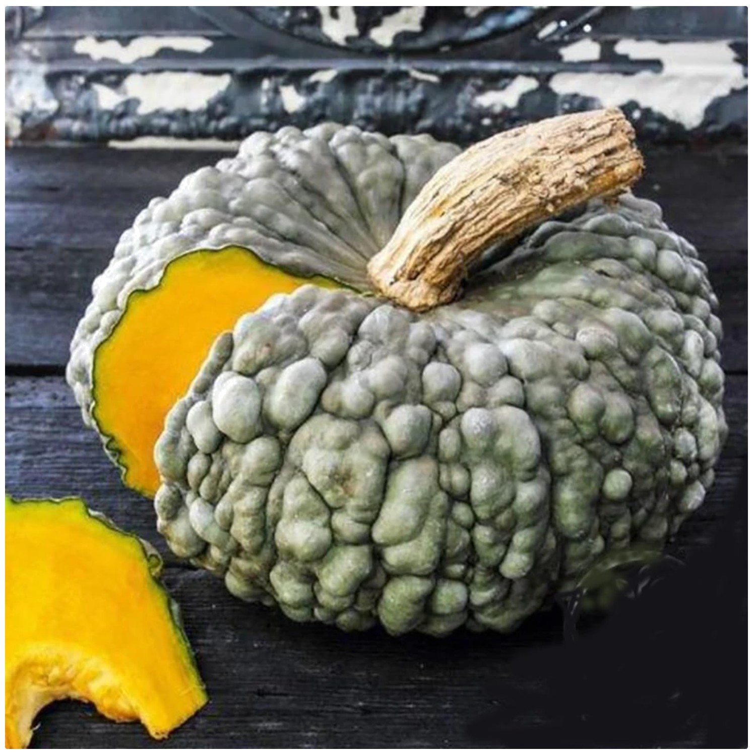 Bumpy Blue Pumpkin Seeds for Culinary Delights