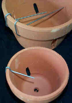 Rhizome clips for CLAY pots. 06 in. 5 pack.