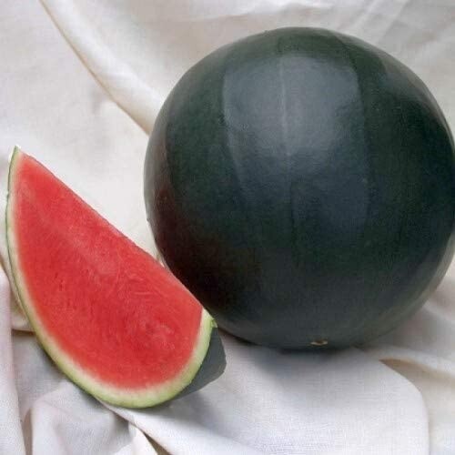 Black Diamond Watermelon 10 – 300 Seeds Tough rind! Large fruits! up to 125 lbs!