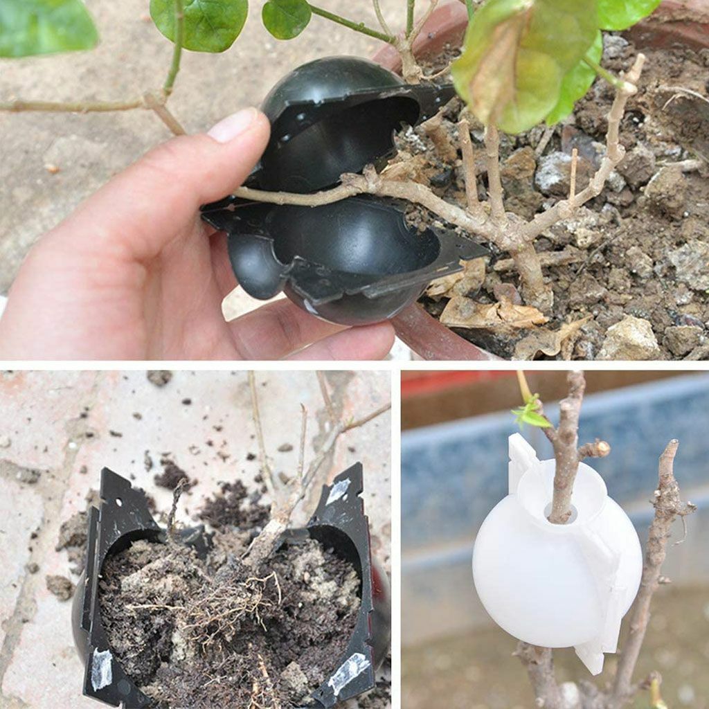 2~10pc Plant Rooting Devices Growing Grafting Box High Pressure Propagation Ball