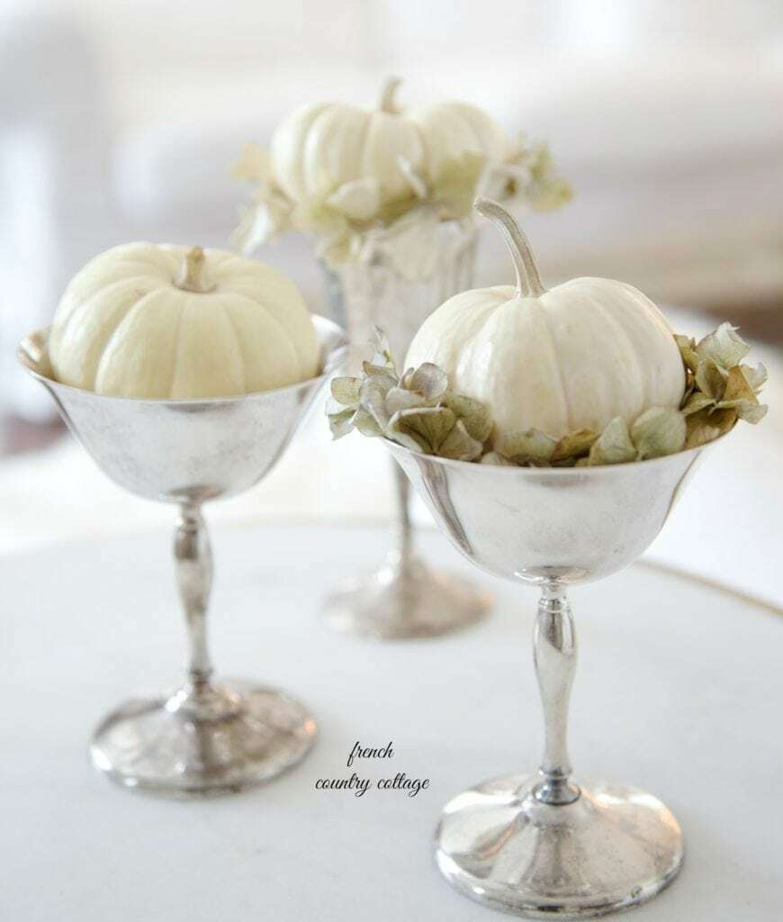 Baby Boo Pumpkin Seeds | Untreated White Mini Little Gourd Fall Squash Seed 2023